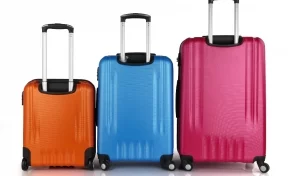 Совфед одобрил закон об отмене тарифа на бесплатный провоз багажа