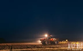 Из-за заморозков в Воронежской области ввели режим ЧС в сельском хозяйстве