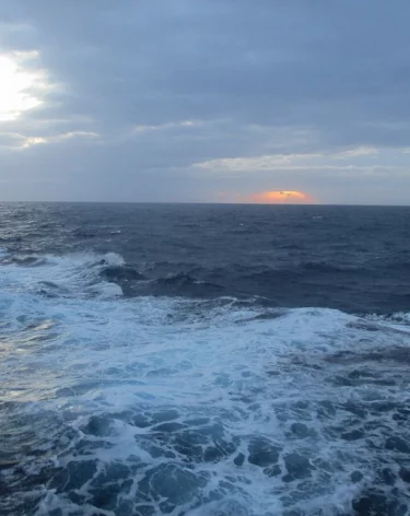 Губернатор Кондратьев объяснил, почему паром Seabridge не смог зайти в порт Сочи