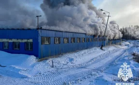 В Кемерове загорелся склад на площади 800 квадратных метров