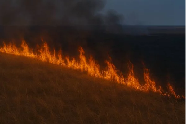 МЧС Кузбасса за вечер ликвидировало возгорания травы в 6 муниципалитетах