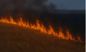 МЧС Кузбасса за вечер ликвидировало возгорания травы в 6 муниципалитетах