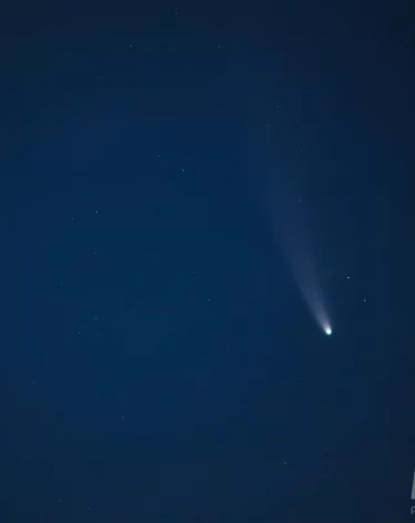 Силы ПВО за ночь перехватили и уничтожили около 50 БПЛА над российскими регионами