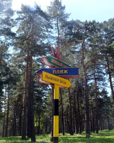Фото: A42.RU