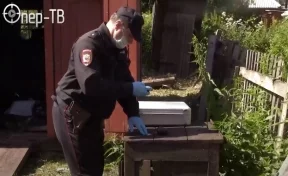 Житель Кузбасса во время уборки в новом доме нашёл гранату