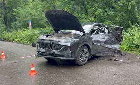 В Новокузнецке кроссовер врезался в дерево: погибли двое