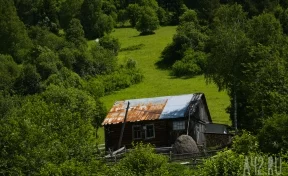 В России утвердили признаки заброшенного участка, которые станут основанием для его изъятия у владельца