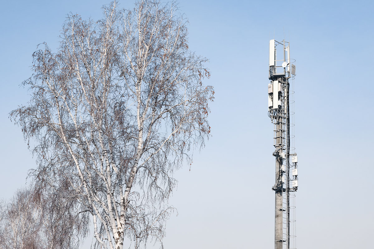 Tele2 улучшила покрытие в 50 населённых пунктах Кузбасса