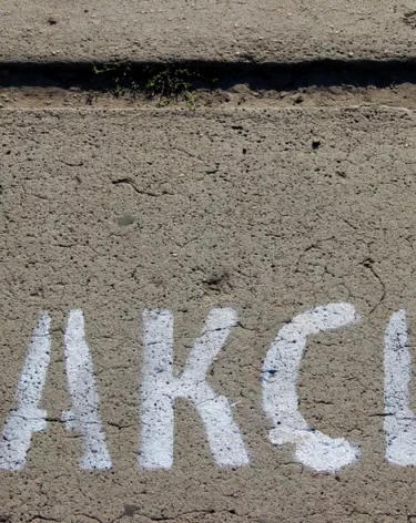 Фото: А42.RU