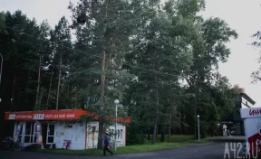 Кемеровчане возмущены вырубкой деревьев в Комсомольском парке: ответ властей