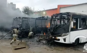 Во Владивостоке утром сгорели восемь автобусов