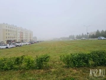 Фото: Кемерово накрыл густой туман 1