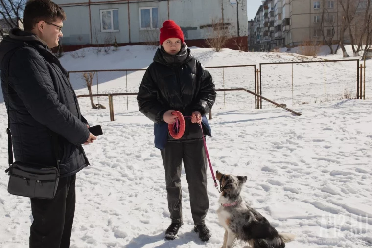 Фото: Развалины и грязь. Как мы обходили площадки для выгула собак в Кемерове и Новокузнецке 48