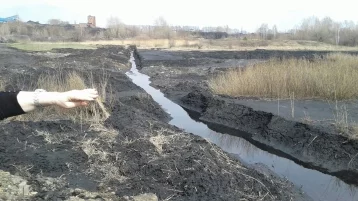 Фото: Мэр Новокузнецка назвал источник загрязнения реки Аба 1