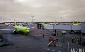 Минтранс Кузбасса: авиакомпания S7 Airlines перестанет летать из Новокузнецка в Москву