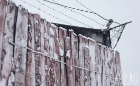 Блогер Арсен Маркарян получил 4,5 года колонии за реабилитацию нацизма