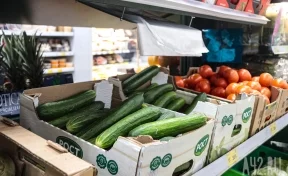 Кемеровостат: в Кузбассе за неделю огурцы подешевели на 8%, лук подорожал на 5%
