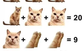 Пользователи соцсетей озадачены головоломкой с котами