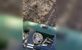 В Кузбассе на Томи задержали браконьера: он успел поймать 140 рыб