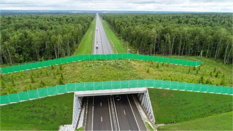 Фото: В Кузбассе началось строительство моста через Томь на дороге в обход Кемерова 5