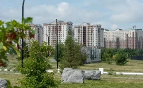 «Деревьям нужно время, чтобы подрасти»: мэр Кемерова пообещал, что новые локации станут зелёными