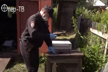 Фото: Житель Кузбасса во время уборки в новом доме нашёл гранату 1