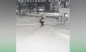 В Кузбассе мужчина подкинул новорождённого к дверям больницы: ЧП попало на видео