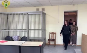 В Приморье мать двух сгоревших детей отправили под домашний арест