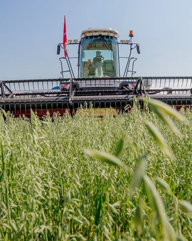 Косилка самоходная универсальная KSU 1 работает в сибирских полях с июля по сентябрь 