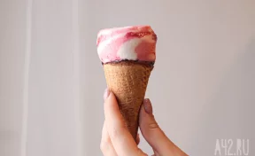 Кузбасс подготовил для Монголии первую партию мороженого в 2026 году  