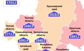 Кузбасс вошёл в топ-10 регионов с самыми низкими показателями заболеваемости COVID-19