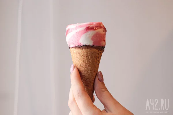 Кузбасс подготовил для Монголии первую партию мороженого в 2026 году  