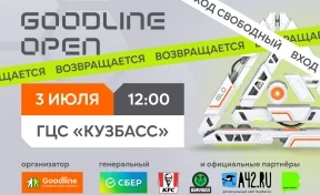В Кемерове пройдёт киберфестиваль Goodline Open