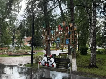 Фото: В Кемерове вернули на место любимую горожанами семью пингвинов 2