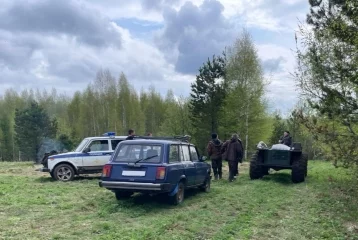 Фото: Блуждали по тайге и отпугивали медведя: двое мужчин заблудились в лесу в Кузбассе 1