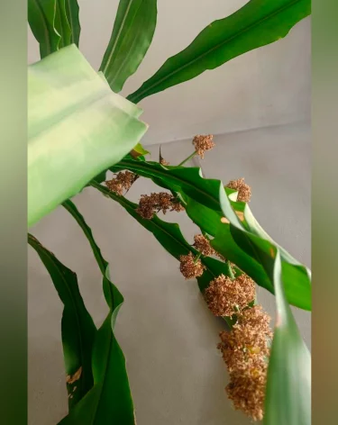 Фото: <a href=https://vk.com/wall-17698040_16054>Государственная филармония Кузбасса</a> / «ВКонтакте»