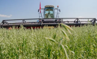 Косилка самоходная универсальная KSU 1 работает в сибирских полях с июля по сентябрь 