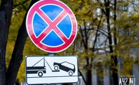 На Сосновом бульваре в Кемерове временно ограничат парковку