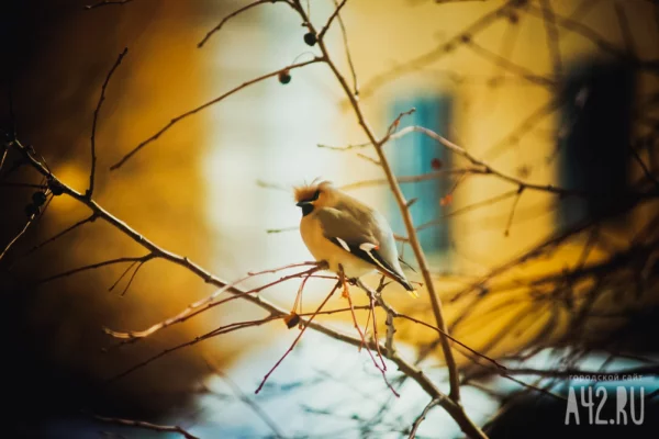 Василисин день: народные приметы на 23 марта