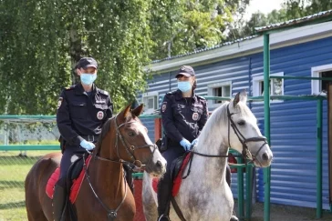 Фото: В Кемерове создали первый в Кузбассе взвод конной полиции 4