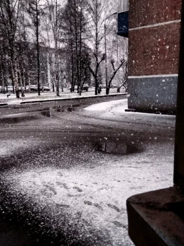 Фото: «Праздник зимы и труда»: в Кемерове резко похолодало и выпал снег 6