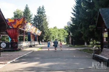 Фото: Власти Кемерова потратят на проект капремонта парка «Антошка» почти 6 млн рублей 1