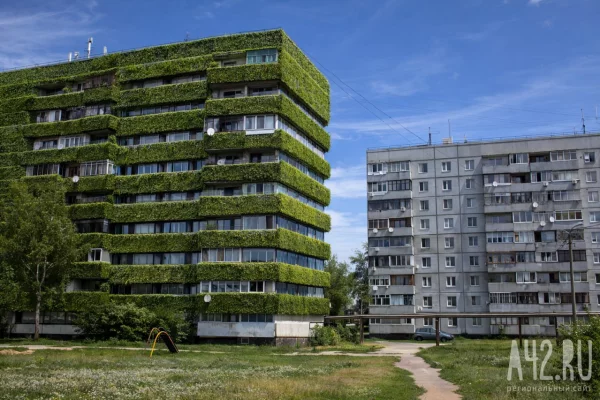 Мох-биосенсор. Как «зелёный» фасад дома может отслеживать загрязнение воздуха в Кузбассе