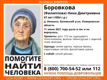 Фото: В Кузбассе 67-летняя женщина ушла в лес и пропала 1
