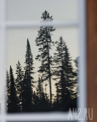 В Кузбассе на продажу выставили летний лагерь за 80 млн рублей