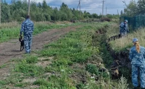 В Свердловской области нашли тело пропавшего 8-летнего мальчика