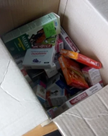 Фото: В Кузбассе утилизируют лекарства для животных, продававшиеся незаконно 1