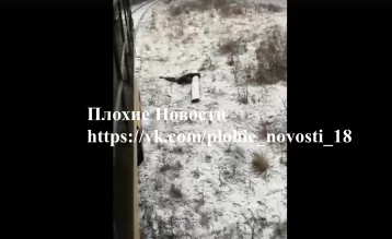 Фото: Опубликовано видео с места гибели парня, которого нашли полураздетым в Кузбассе 1