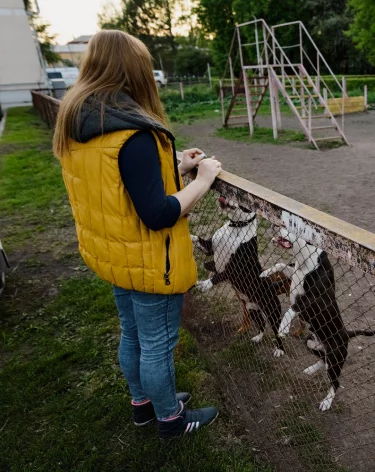 В Кузбассе начнут штрафовать за нарушение правил выгула собак