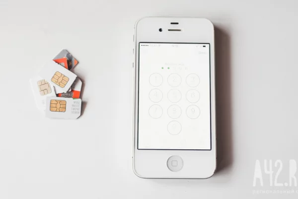 В МВД рассказали, как проверить, сколько сим-карт зарегистрировано на человека